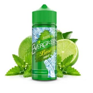 Evergreen Aroma 8ml Lime Mint