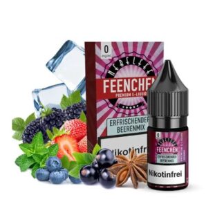 Nebelfee Nikotinsalz Liquid 10ml Erfrischender Beerenmix 0mg